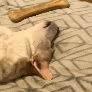 Meet your Posher, Tommy